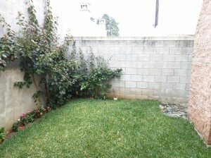 IMG 20161205 112737