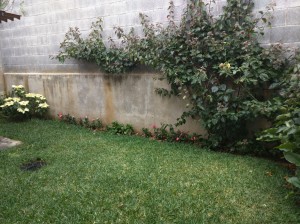 IMG 20161205 112816